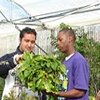 student and teacher with a plant in a greenhouse